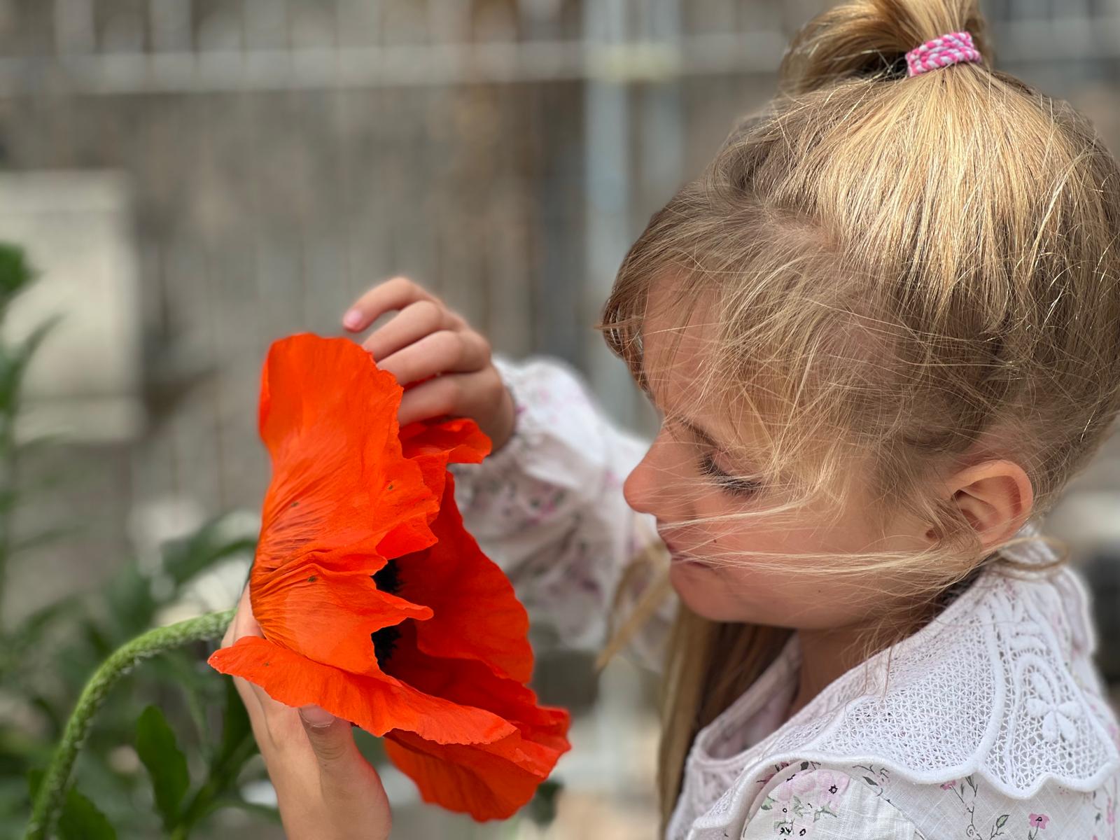 What Does Wearing A Red Poppy Mean