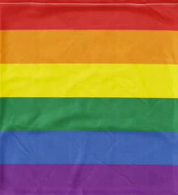 Pride socks UK | Rainbow socks UK | LGBTQ socks | Organic cotton socks | Sustainable socks