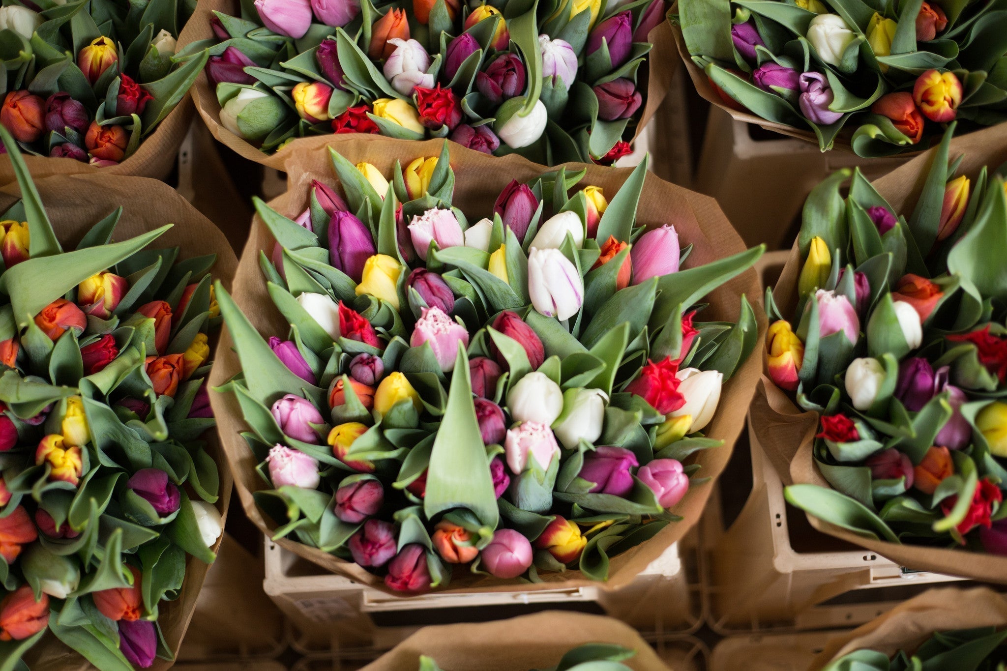 Mother's Day Gifts | Personalized Socks | Luxury Hampers | Jewelry Gifts | Spa Experience | Flower Subscription | Wellness Essentials