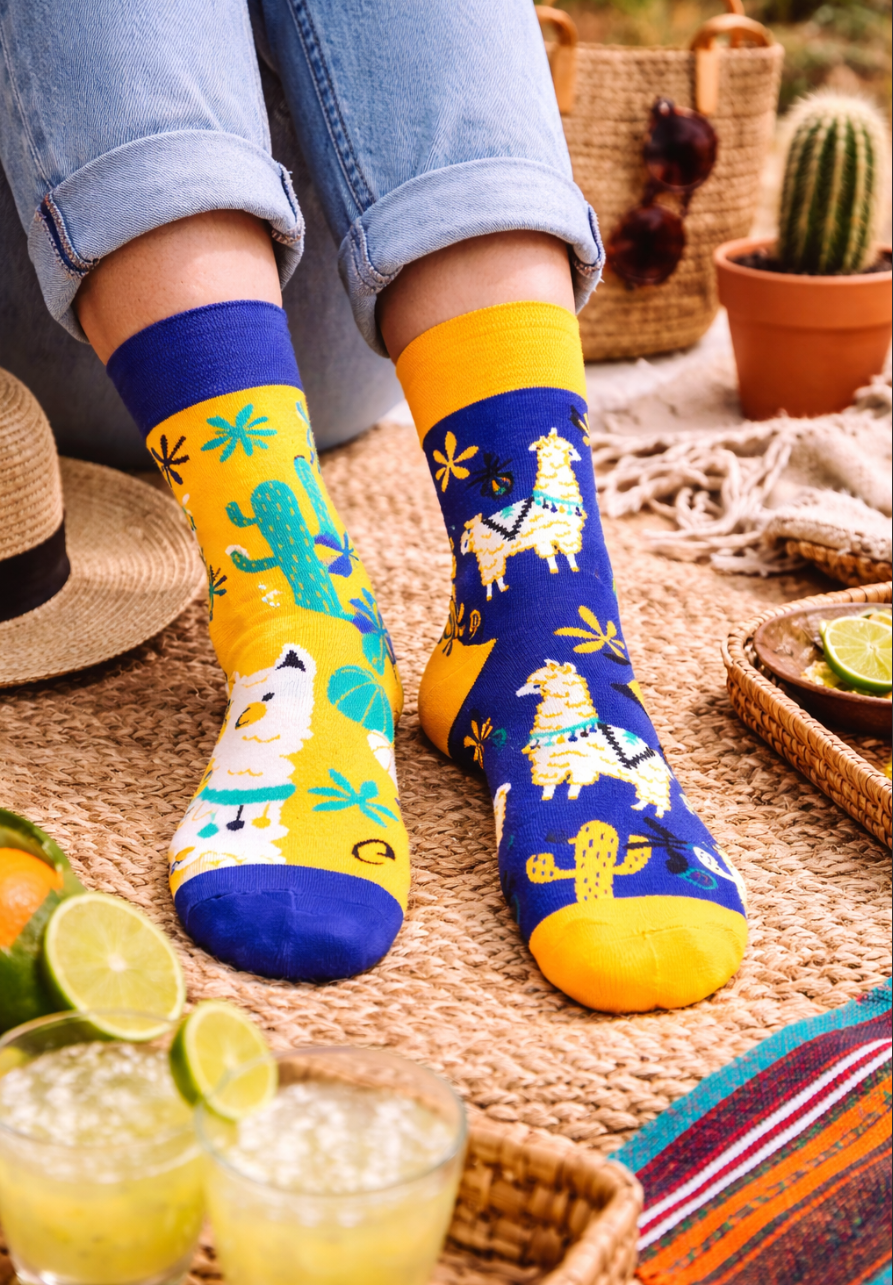 Novelty Socks l odd socks